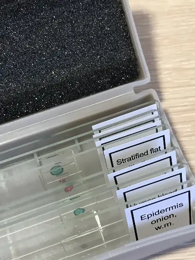 [GEN-MS-CS-45] Positive Charged Microscope Slides for Cells, Frozen and Paraffin-Embedded Sections, Clipped Corne